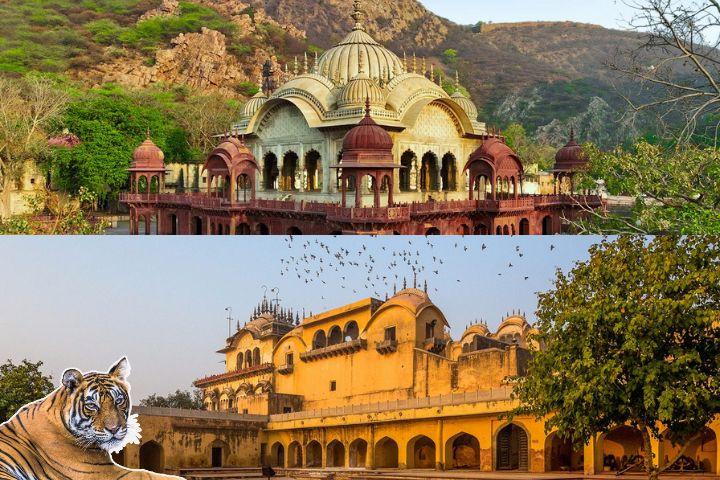Nearby Attractions