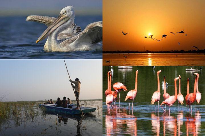 inner Nal Sarovar Bird Sanctuary