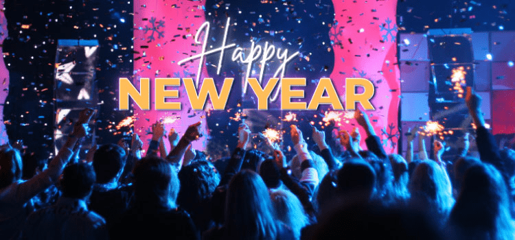 New Year Party in Udaipur