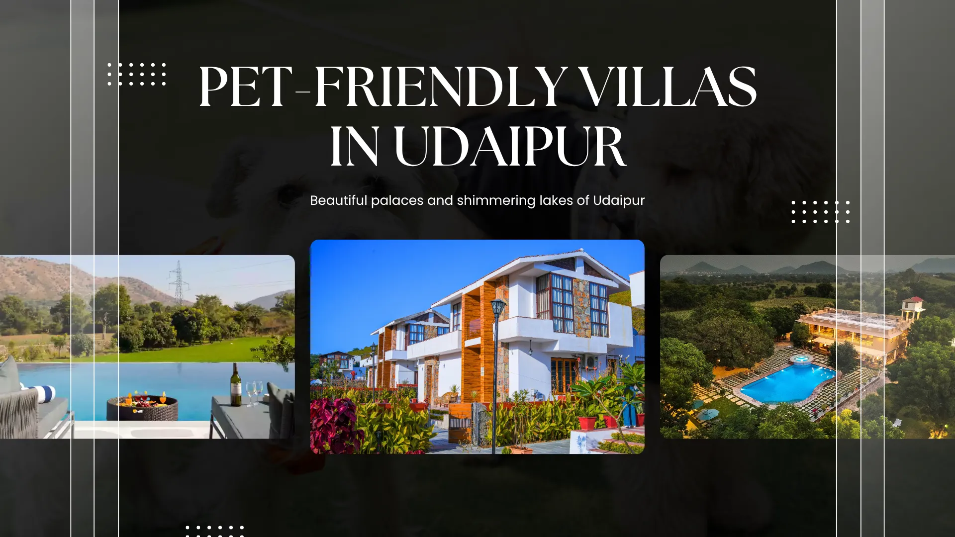 Pet-Friendly Villas in Udaipur